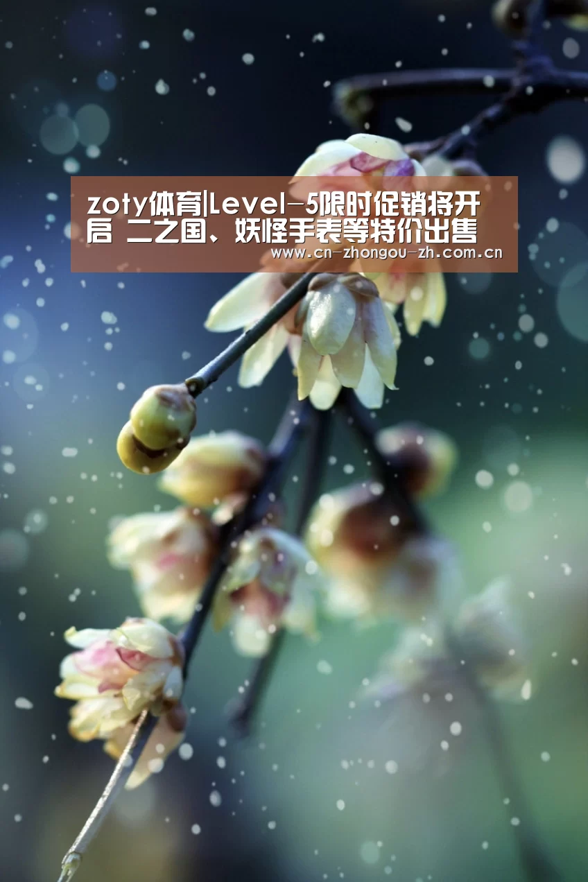 zoty体育|Level-5限时促销将开启 二之国、妖怪手表等特价出售(图2) 中欧体育