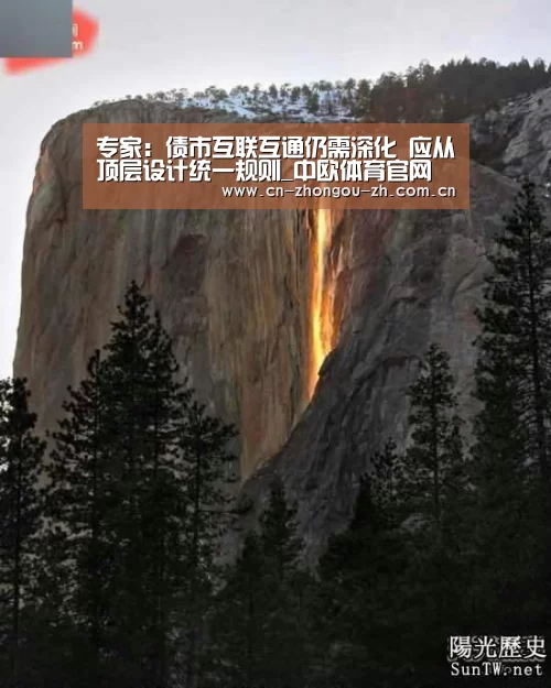 专家:债市互联互通仍需深化 应从顶层设计统一规则_中欧体育官网(图3) 中欧体育官网