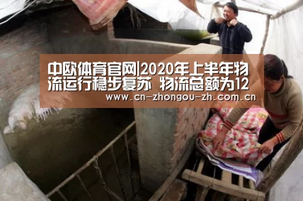 中欧体育官网|2020年上半年物流运行稳步复苏 物流总额为123.4万亿元(图2) 中欧体育官网