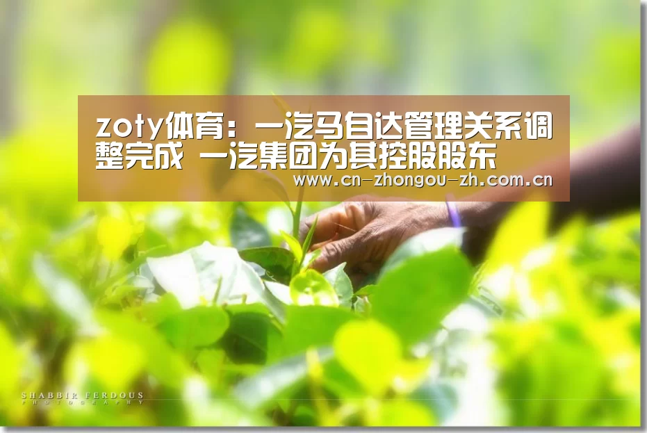 zoty体育:一汽马自达管理关系调整完成 一汽集团为其控股股东(图2) 中欧体育